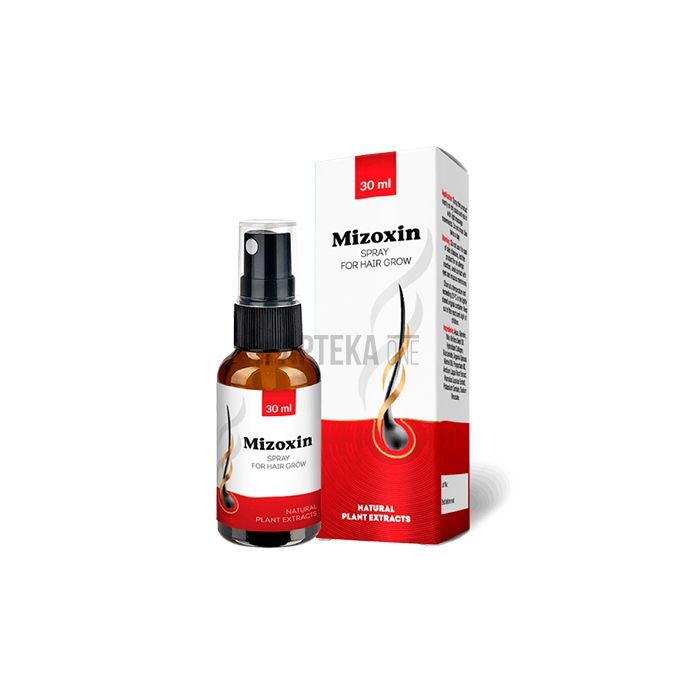 Mizoxin - produto para restauração capilar